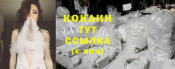 стафф Верхний Тагил
