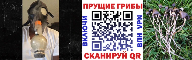 Галлюциногенные грибы мицелий  Купить закладки  Комсомольск 